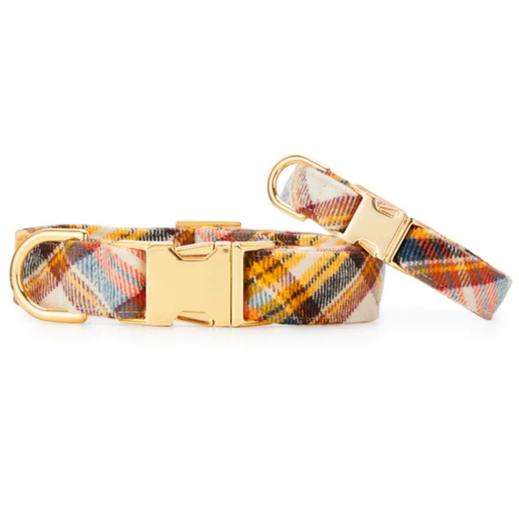 Foggy Dog - Dog Collar Cornucopia Flannel