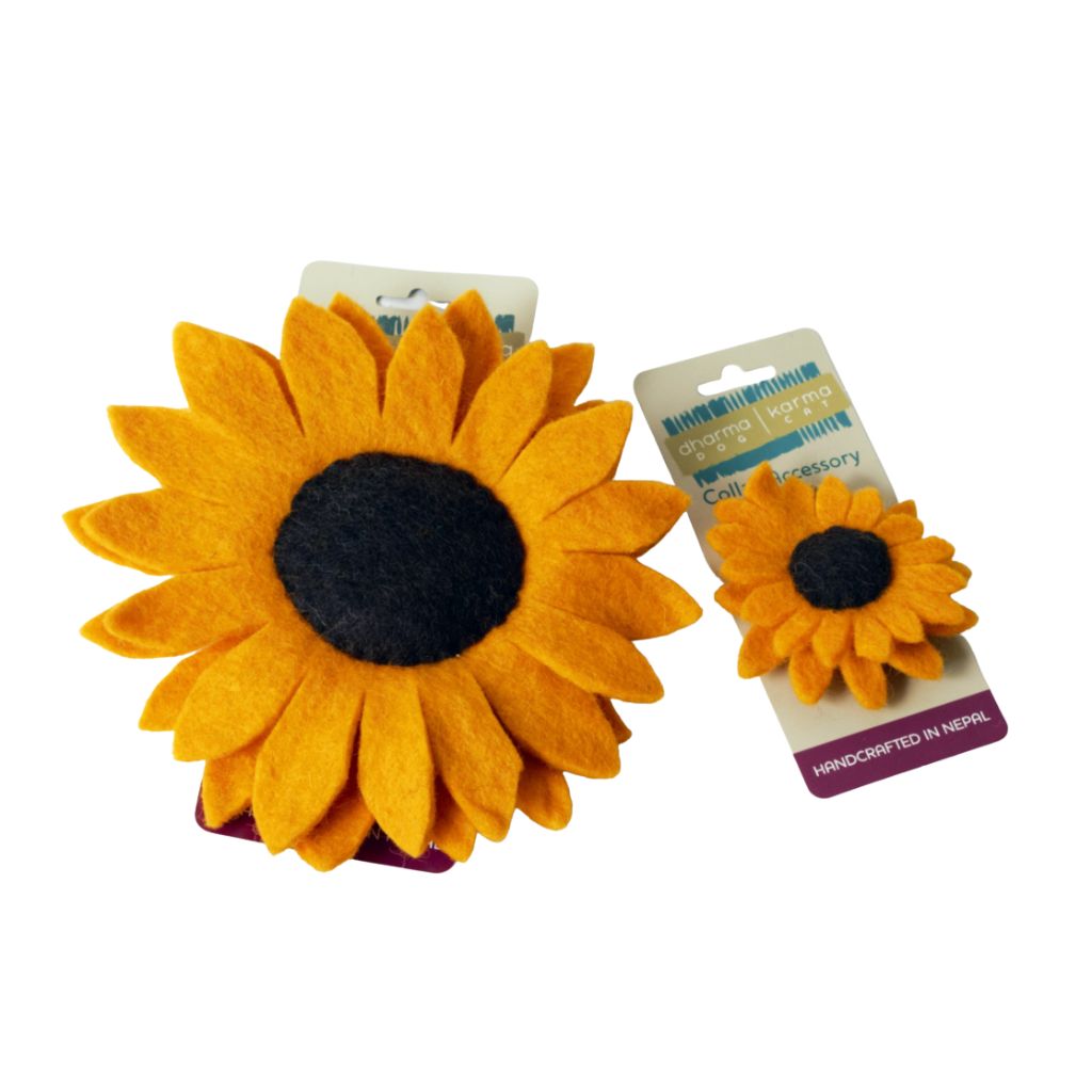 Dharma Dog - Sunflower Collar Accessory