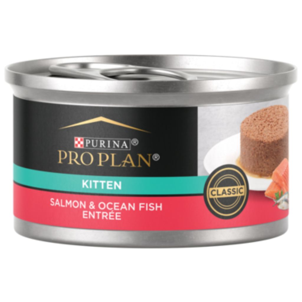 Purina Pro Plan - All Breeds, Kitten Salmon & Ocean Fish Entrée Classic Canned Cat Food
