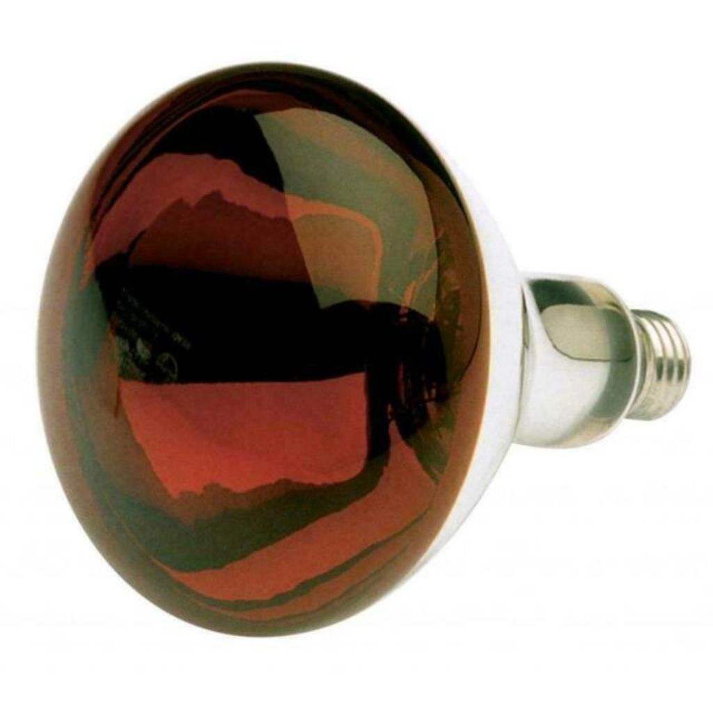 Harvell's - Bulb for Heat Lamp
