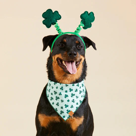 St. Patricks Day Dog Bandana, Shamrock Dog Bandana, Tie-on Bandana,  Personalized Dog Bandana, Pot of Gold, Bizzymamas 
