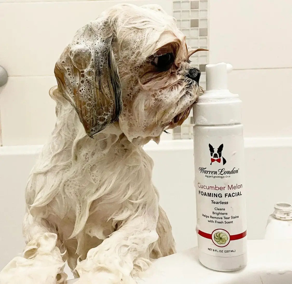 Tearless Shampoo for Dogs Face Cucumber Melon Foaming Facial