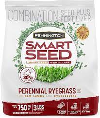 Pennington Smart Seed Perennial Ryegrass - Southern Agriculture
