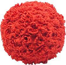 Red Flower Squeaky Ball Dog Toy - Southern Agriculture