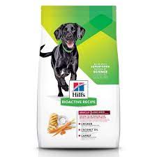 Hill's - Bioactive Recipe Adult Large Breed Fit + Radiant 22.5 lb Dry Dog Food