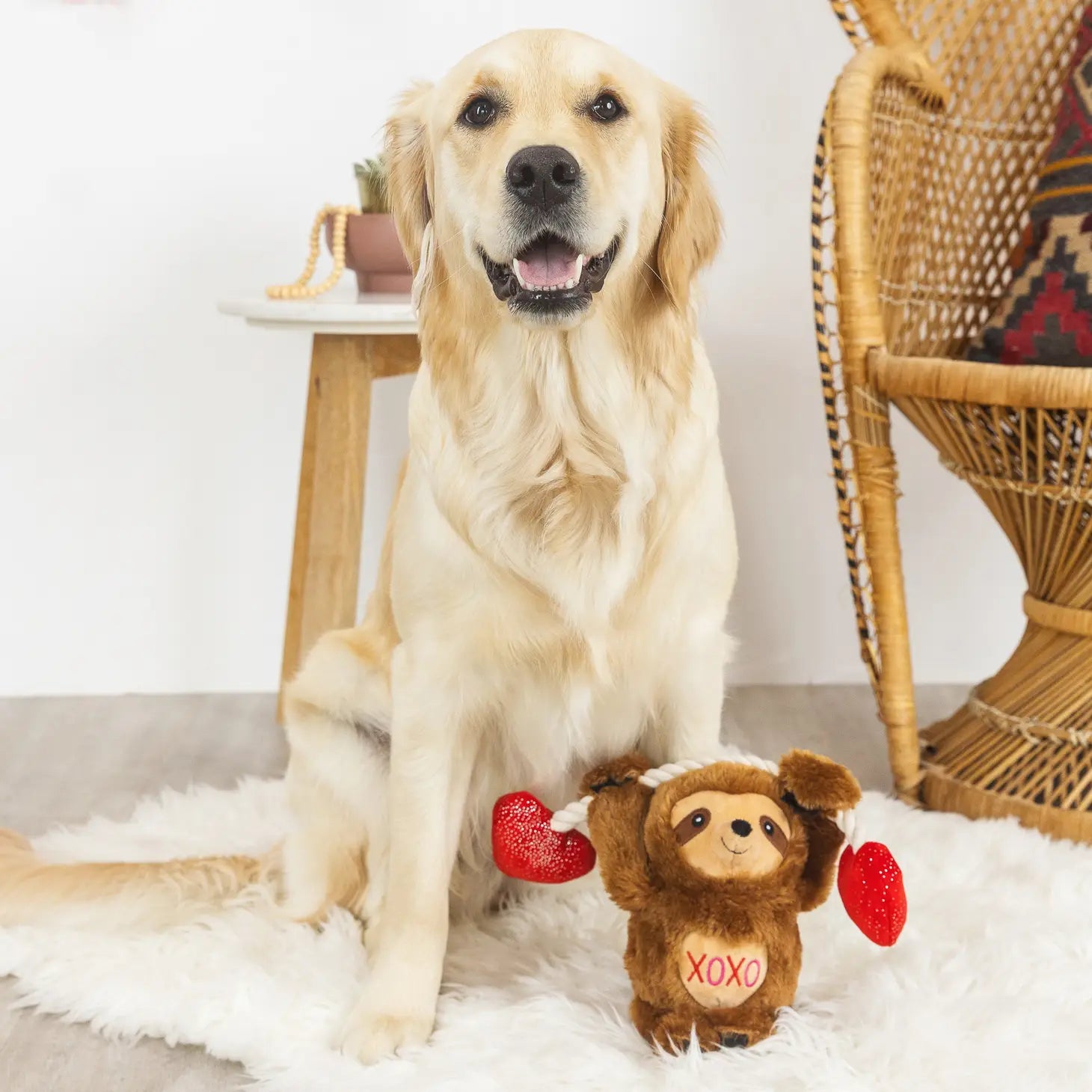 Fringe - Beclaws I Love You Dog Toy
