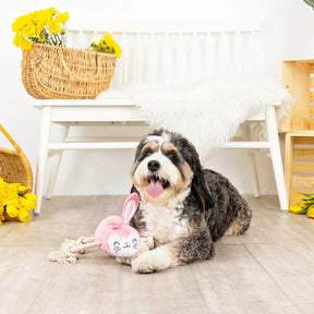 Petshop by Fringe Studio - No Bunny Compares Dog Toy Plush