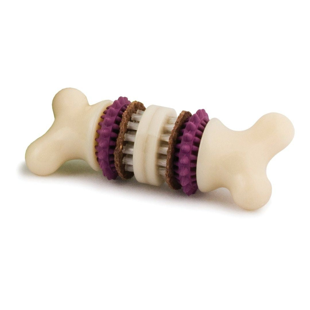 Premier Pet Products - Busy Buddy Bristle Bone. Dog Toy.-Southern Agriculture