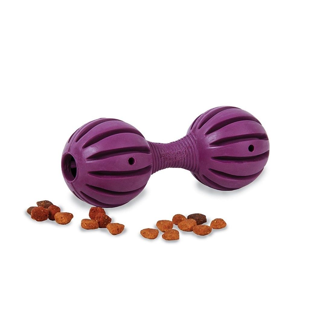 Premier Pet Products - Busy Buddy Waggle. Dog Toy.-Southern Agriculture
