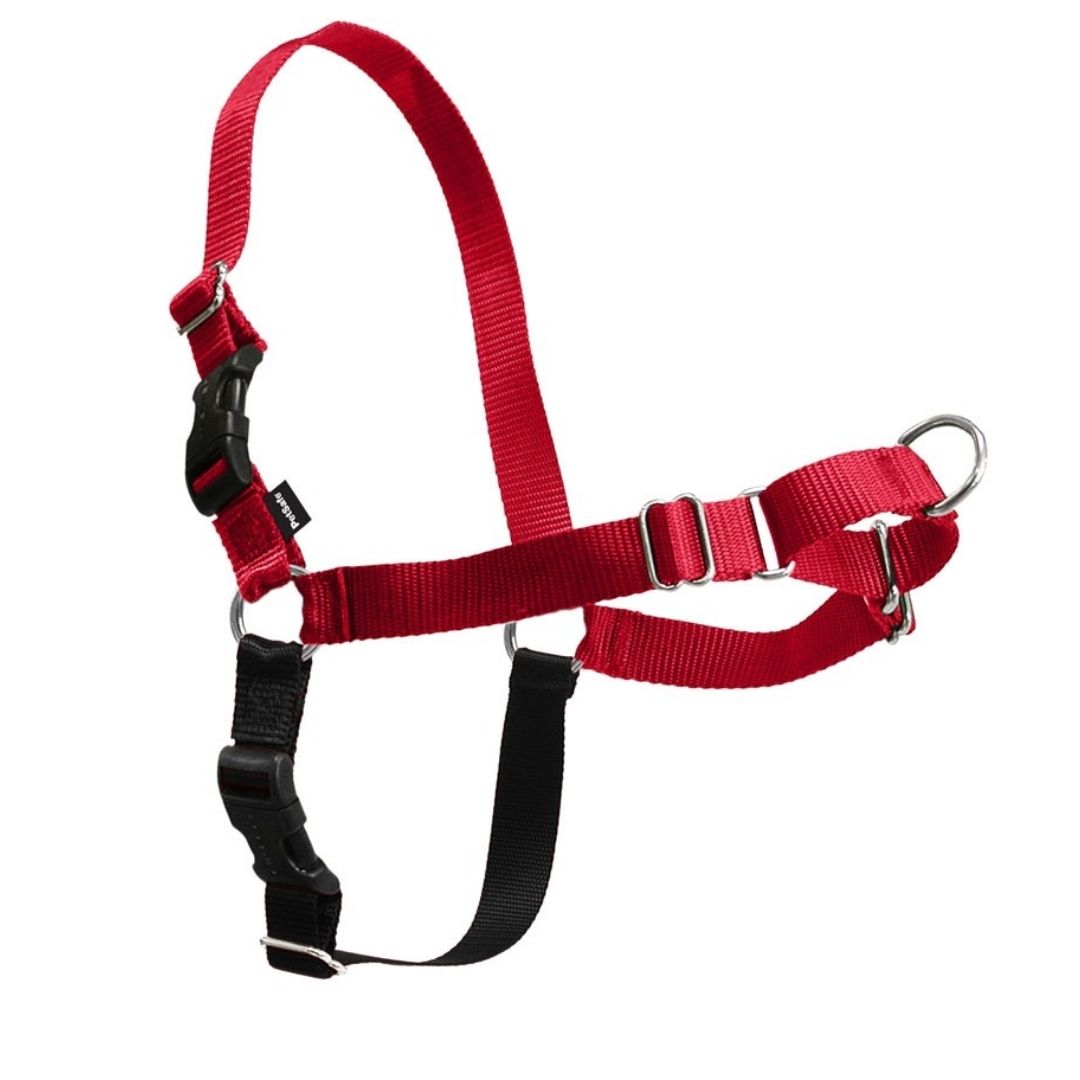 Easy Walk Gently Leading Harness for Dogs-Southern Agriculture