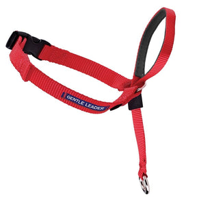 Gentle Leader Headcollar for Dogs-Southern Agriculture
