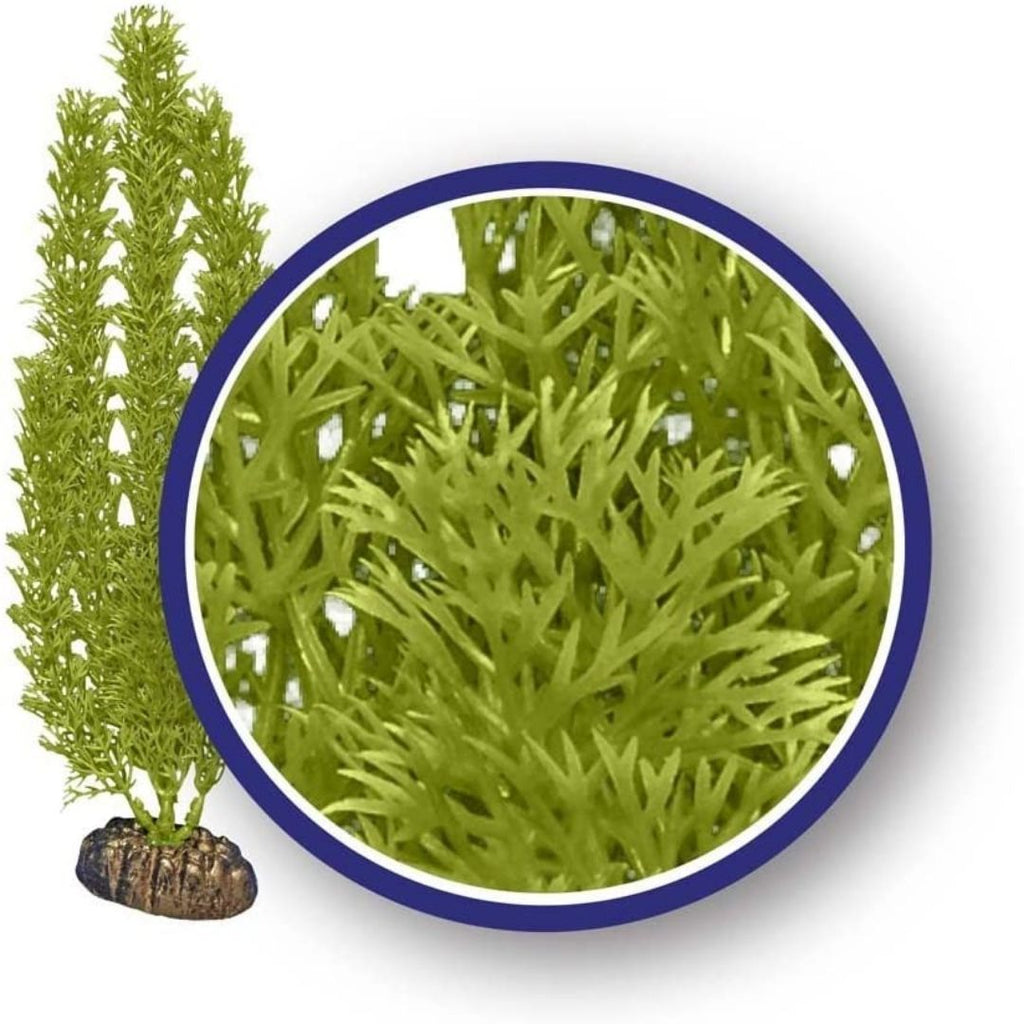 Weco Products Freshwater Series Foxtail Aquarium Plant - Green