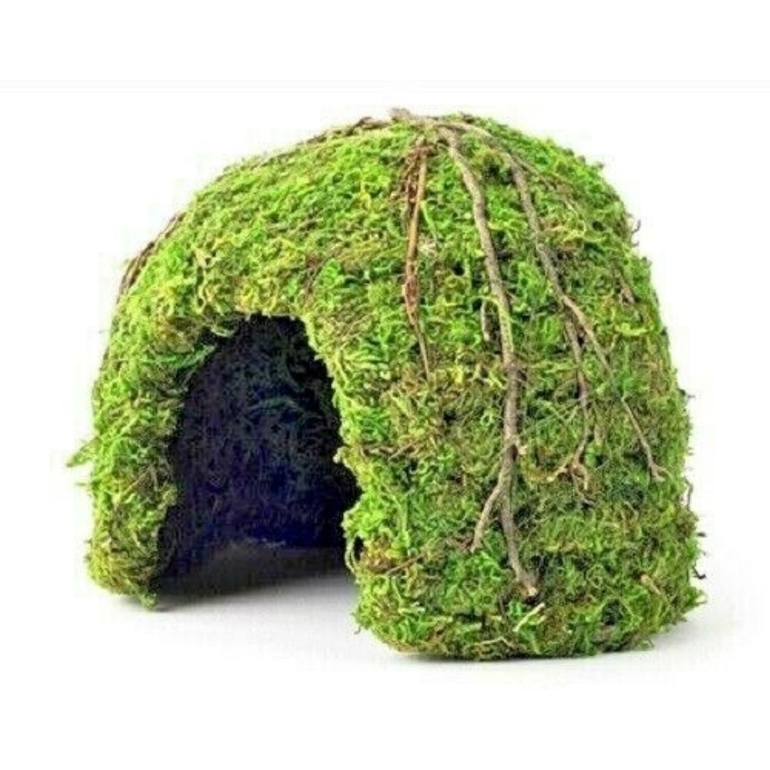 Green Mossy Dome-Southern Agriculture