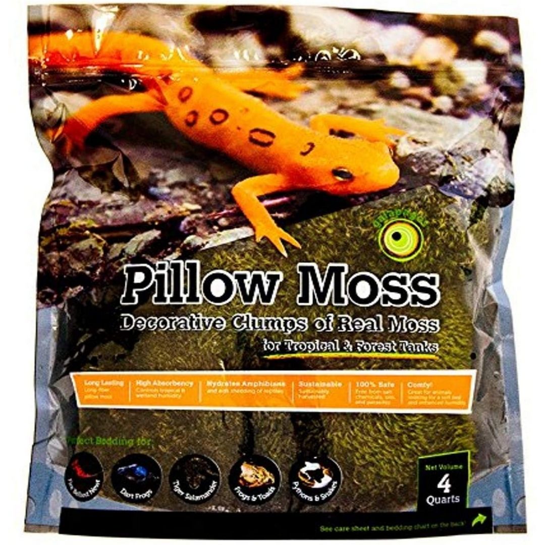 Fresh Green Pillow Moss - 4 pack-Southern Agriculture