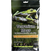 Fresh Green Sheet Moss-Southern Agriculture