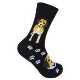 Beagle Socks-Southern Agriculture