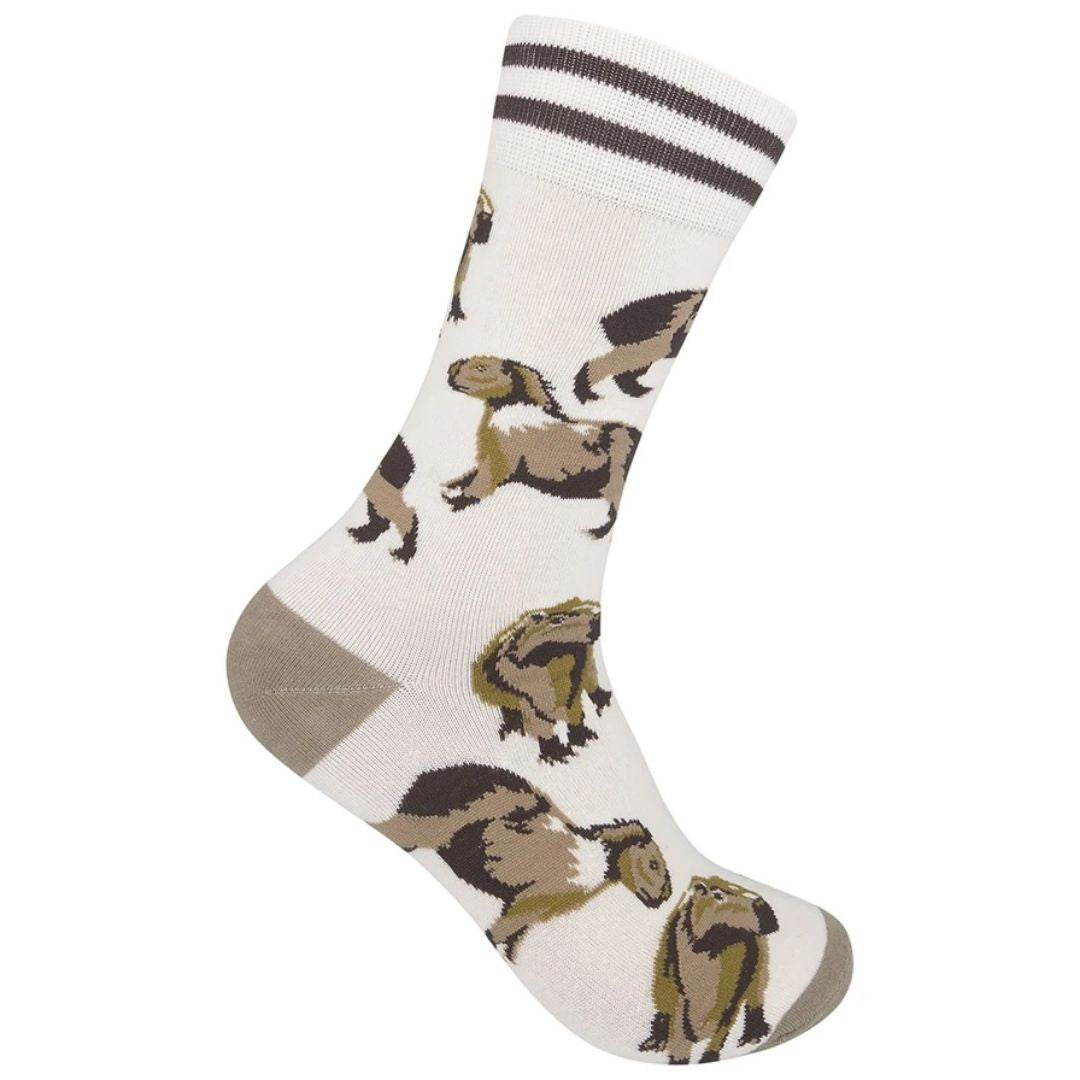 Funatic - Capybaras Socks