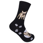 French Bulldog Socks-Southern Agriculture