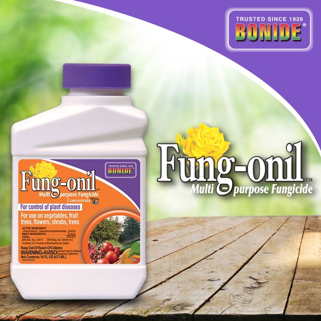 Bonide - Fung-oil Multi-Purpose Fungicide-Southern Agriculture