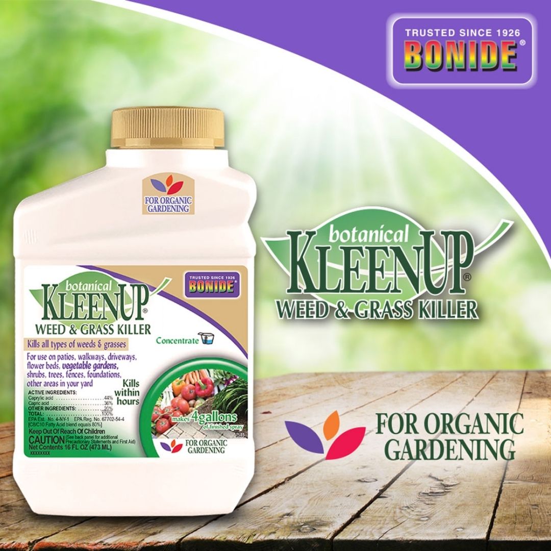 kleenup herbicide Bonide Kleenup Weed and Grass Killer