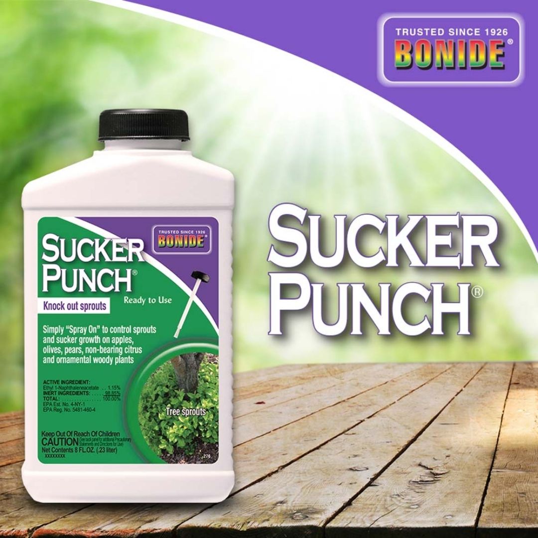 Bonide - Sucker Punch with Brush-Southern Agriculture