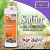 Bonide - Sulfur Dust Fungicide-Southern Agriculture