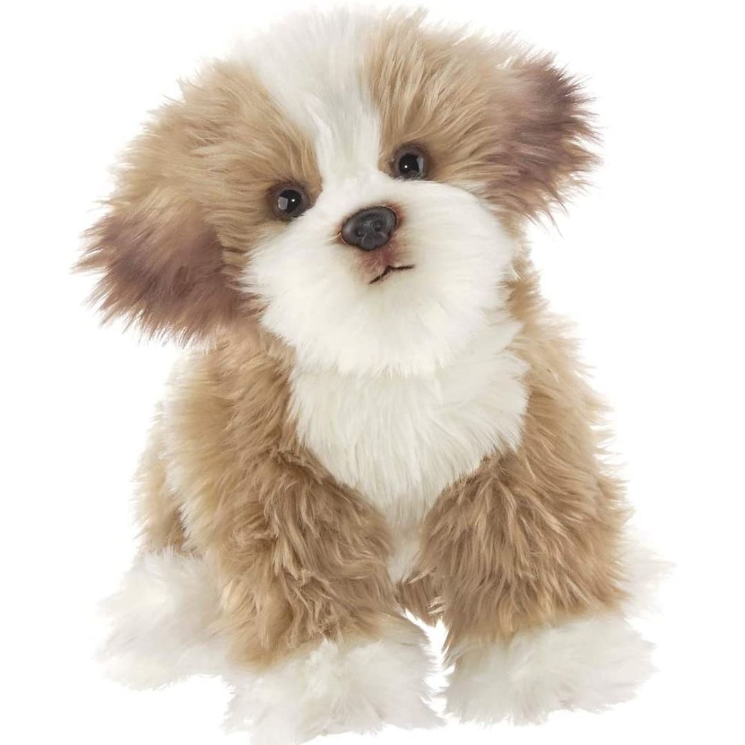 Bearington Collection - Murphy the Maltipoo Plush Toys-Southern Agriculture