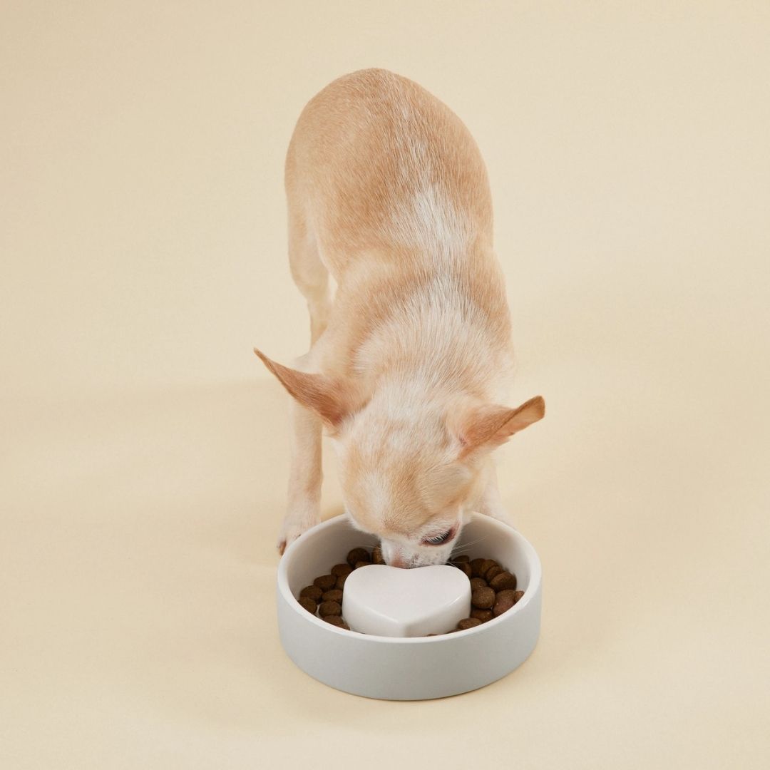 Paikka - Slow Feed Concrete Pet Bowl with Heart Center-Southern Agriculture