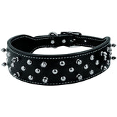 Weaver Leather - Spike Collar-Southern Agriculture