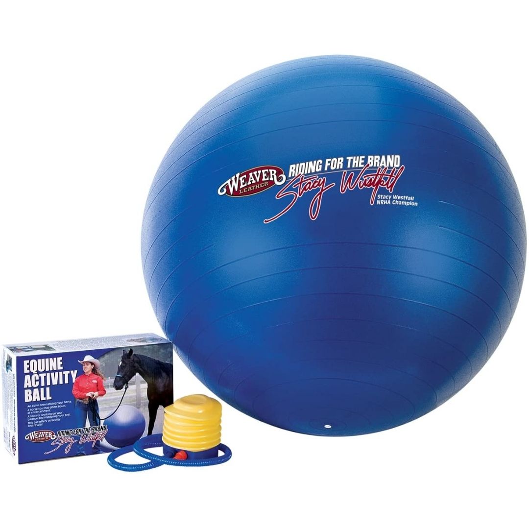 Weaver Leather - Stacy Westfall Equine Activity Ball-Southern Agriculture