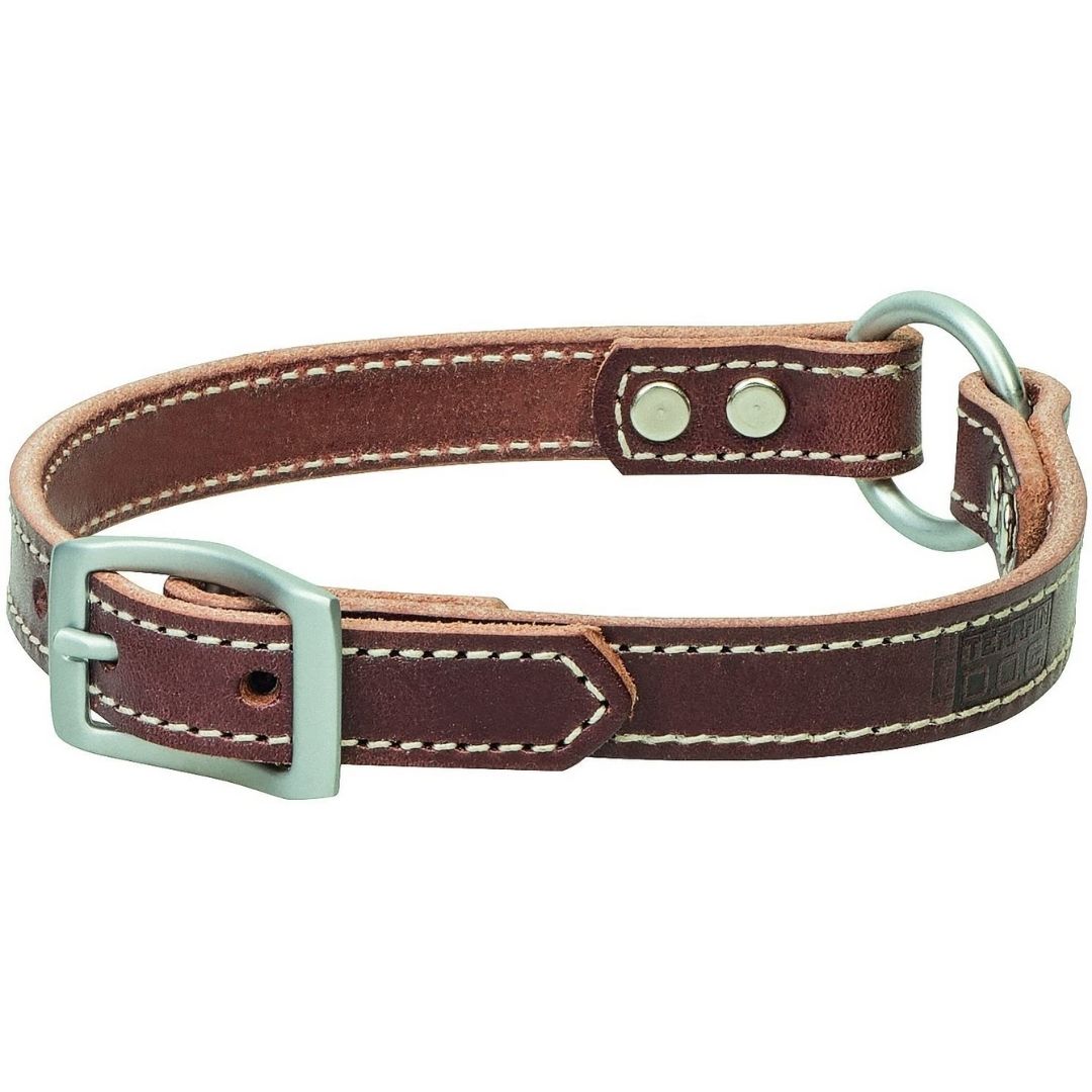 Weaver Leather - Terrain D.O.G. Harness Leather Ring-in-Center Dog Collar-Southern Agriculture