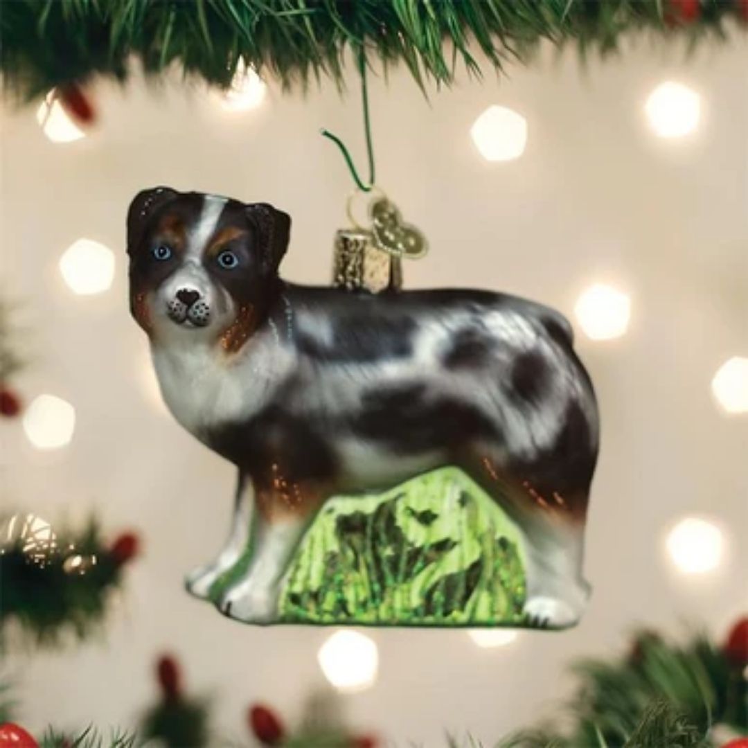 Old World Christmas - Australian Shepherd Ornament-Southern Agriculture