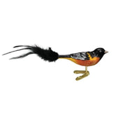 Old World Christmas - Baltimore Oriole Ornament-Southern Agriculture