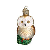 Old World Christmas - Christmas Owl Ornament-Southern Agriculture