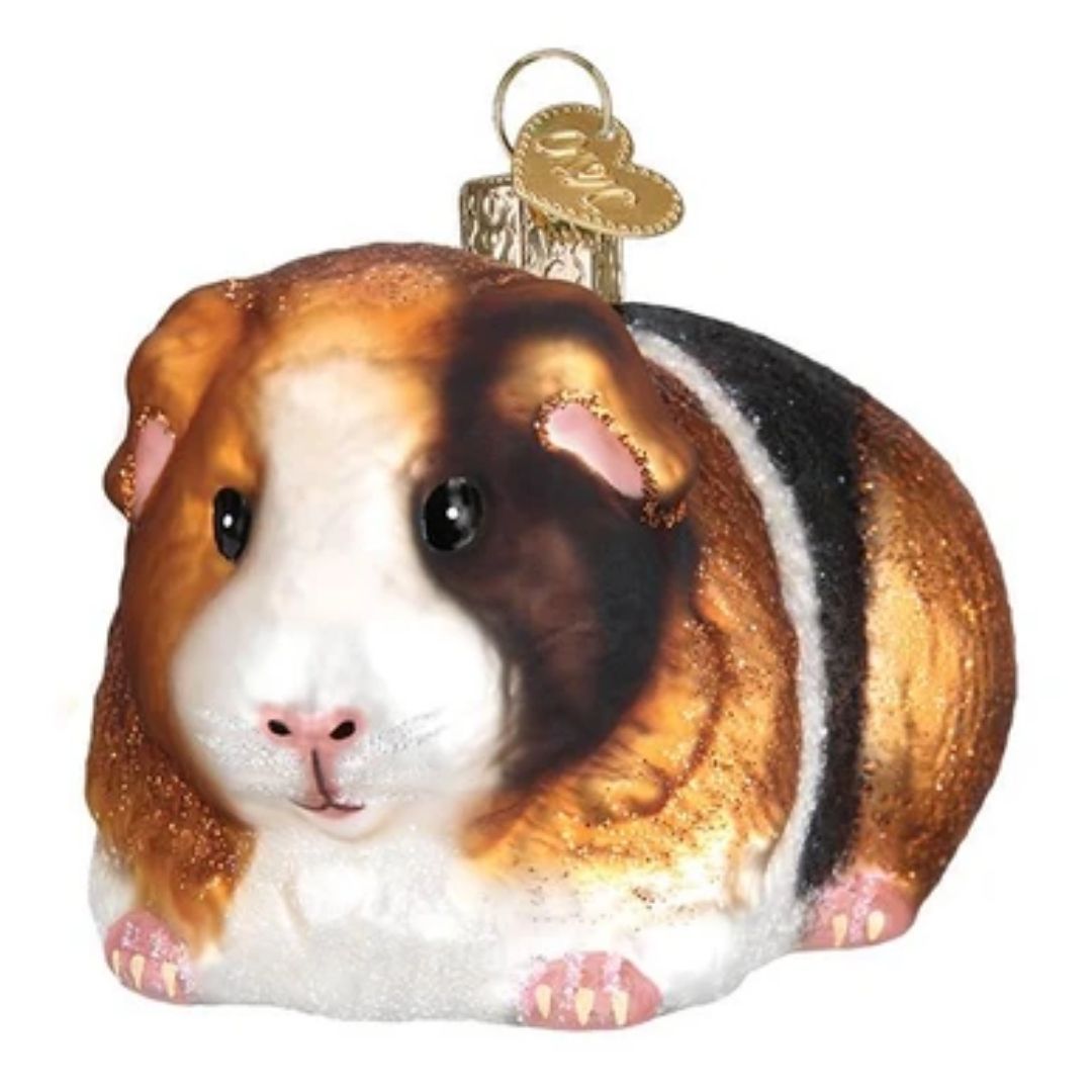 Old World Christmas - Guinea Pig Ornament-Southern Agriculture