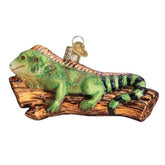 Old World Christmas - Iguana Ornament-Southern Agriculture