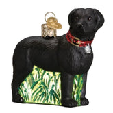 Old World Christmas - Black Lab Ornament-Southern Agriculture