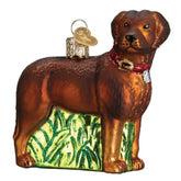 Old World Christmas - Chocolate Lab Ornament-Southern Agriculture