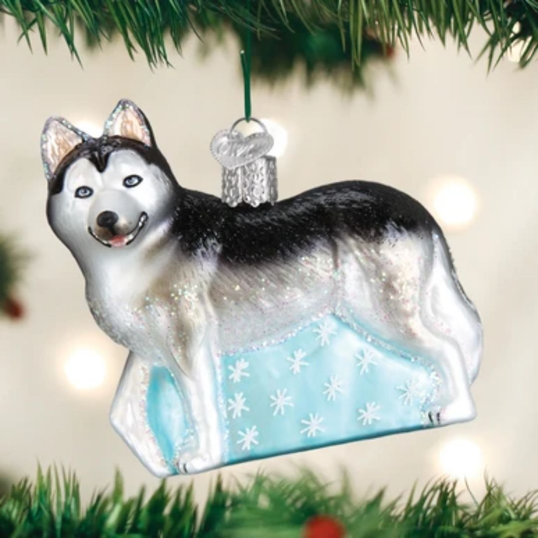 Old World Christmas - Siberian Husky Ornament-Southern Agriculture
