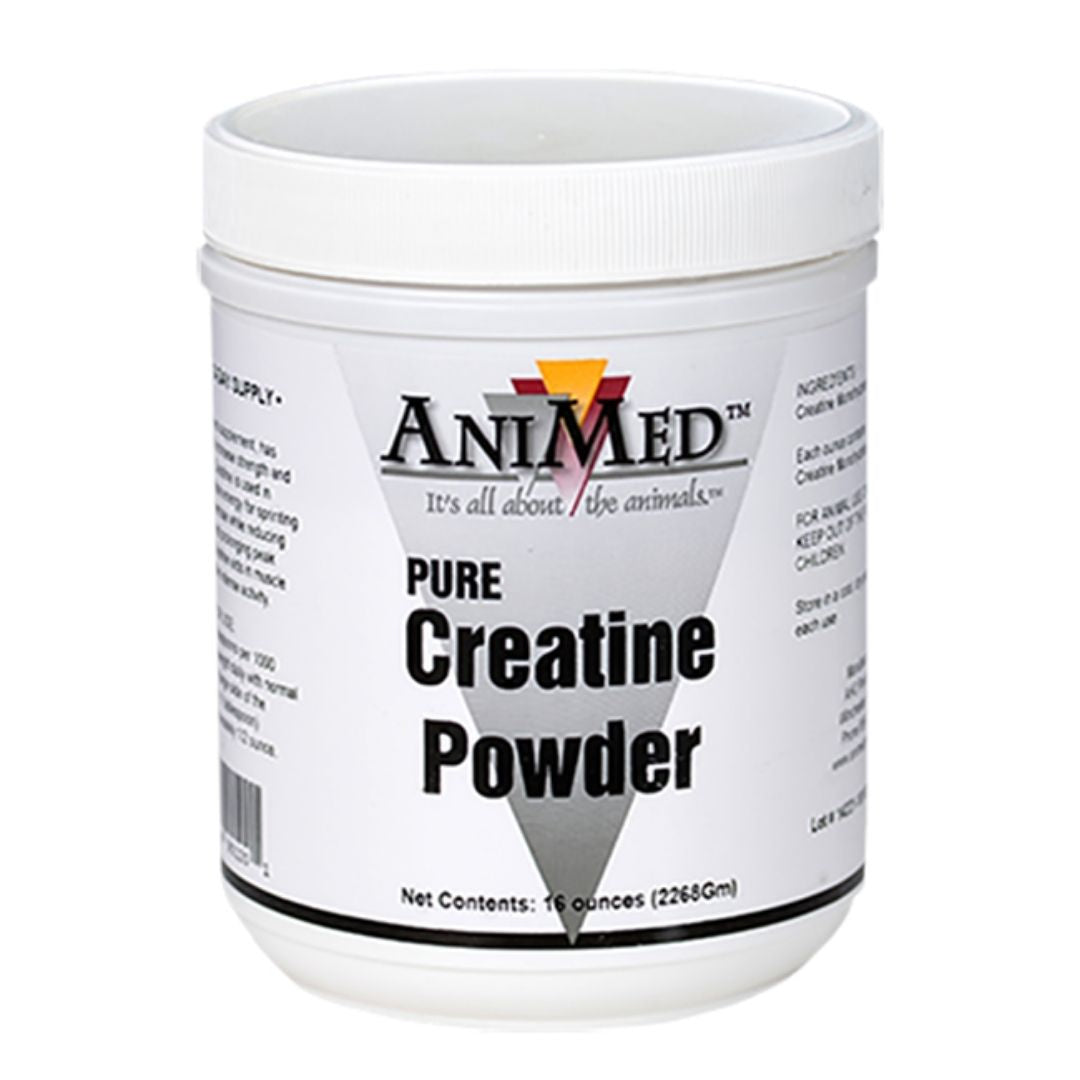 AniMed - Creatine Powder Supplement for Horses-Southern Agriculture