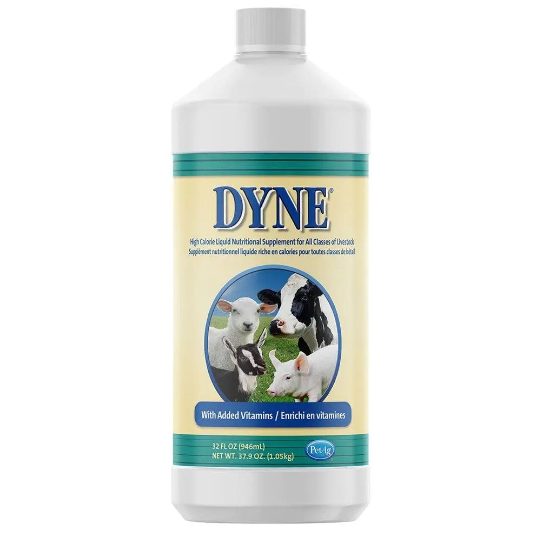 Dyne - High Calorie Liquid for Livestock-Southern Agriculture
