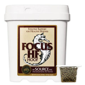 Source - Focus HF Horse Supplements-Southern Agriculture