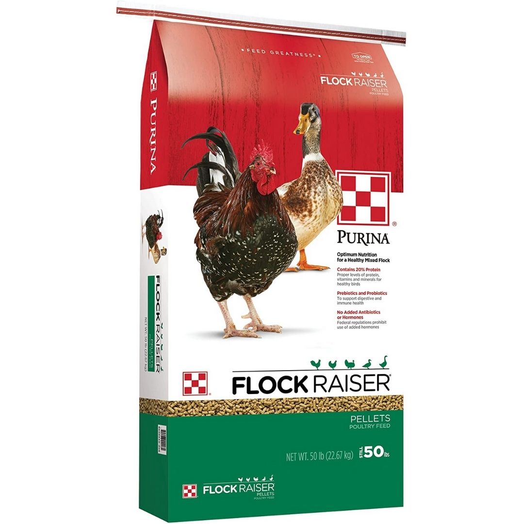 Purina Animal Nutrition - Flock Raiser Pellets-Southern Agriculture