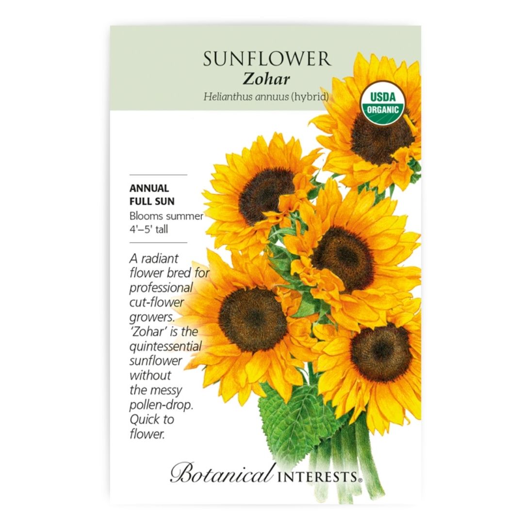 Zohar Sunflower Seeds - Organic