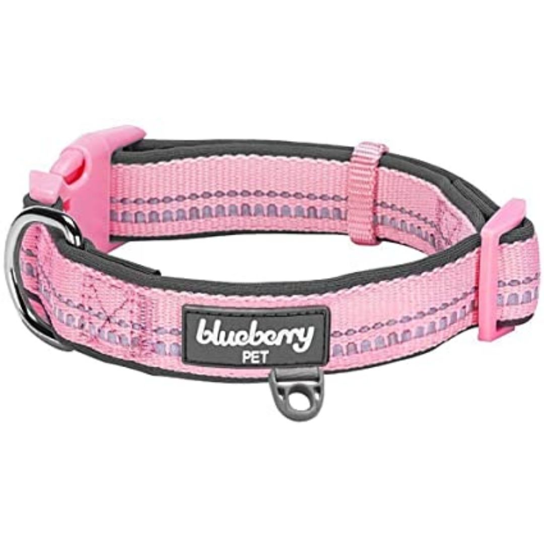 Blueberry Pet - 3M Reflective Padded Dog Collar Baby Pink
