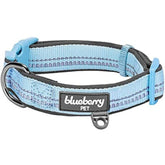Blueberry Pet - 3M Reflective Padded Dog Collar Baby Blue