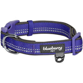 Blueberry Pet - 3M Reflective Padded Dog Collar Violet