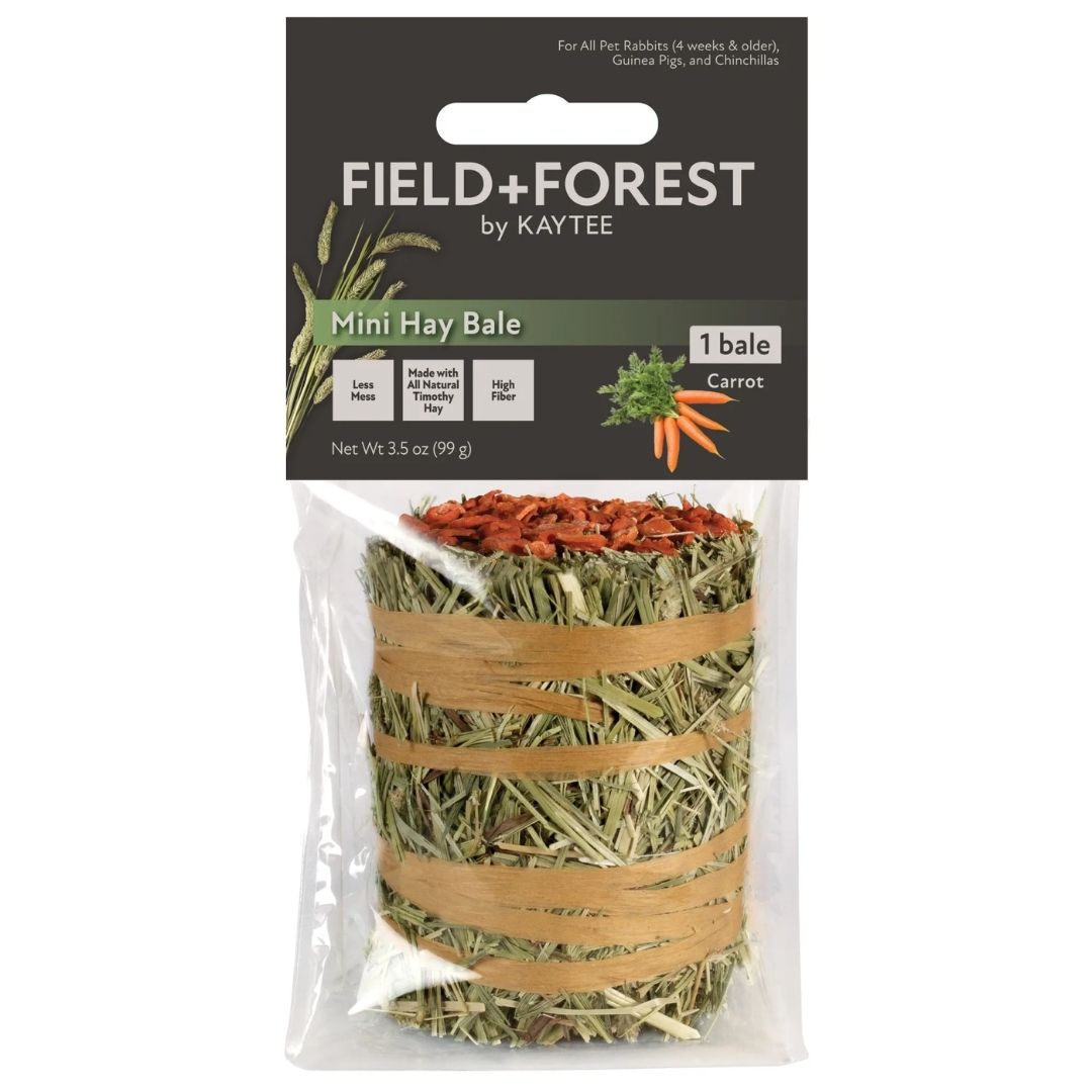 Kaytee Field+Forest Carrot Mini Hay Bale