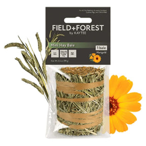 Kaytee Field+Forest Carrot Mini Hay Bale