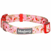 Blueberry Pet Rose Baby Pink Floral Dog Collar
